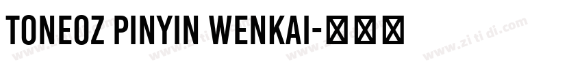 Tone0Z Pinyin WenKai字体转换